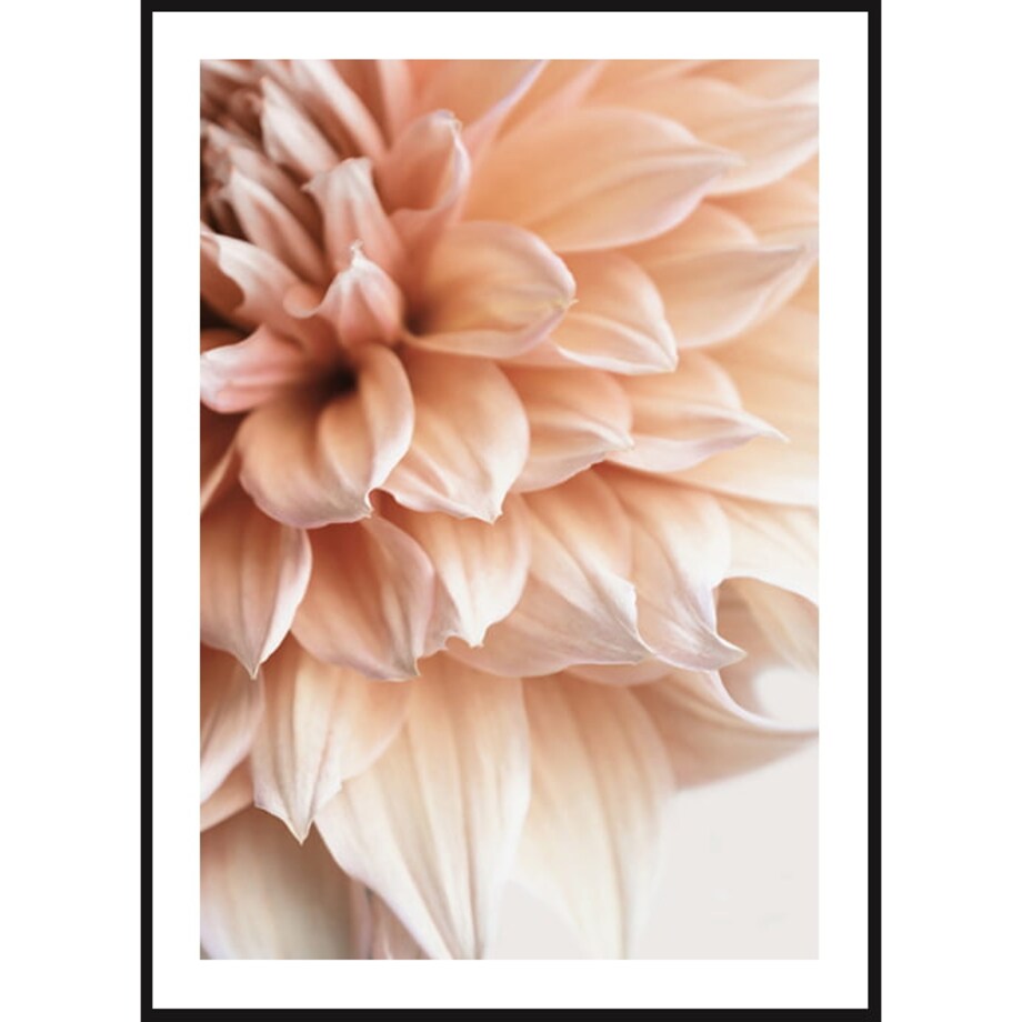 Poster Story, Plakat, Obraz - Dalia No1, wymiary 21 x 30 cm