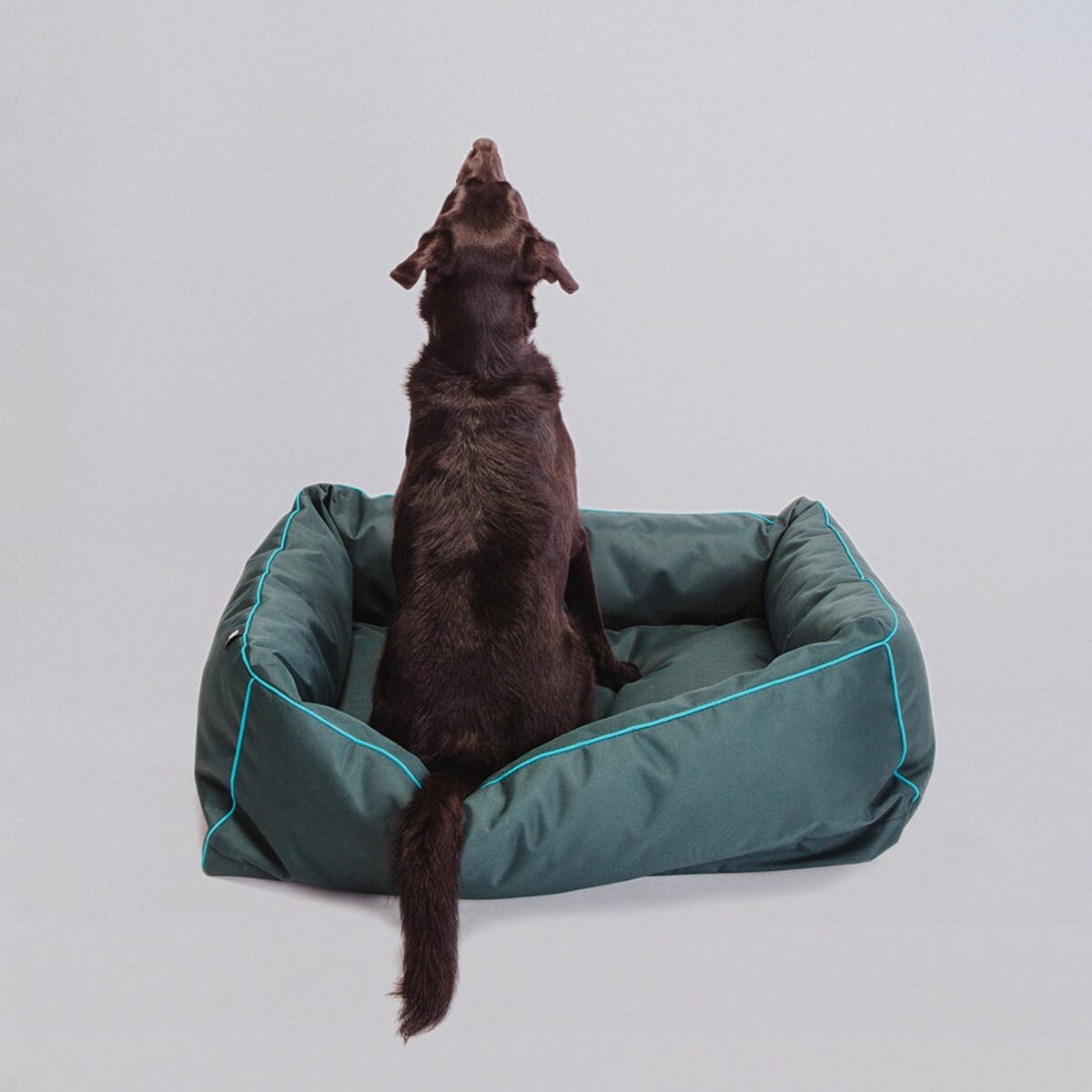 Legowisko dla psa Bone - S - 60x50cm