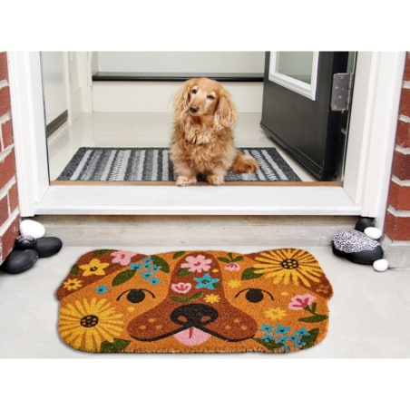 Wycieraczka TIBIG Kolorowy 60 x 90 cm Włókno kokosowe