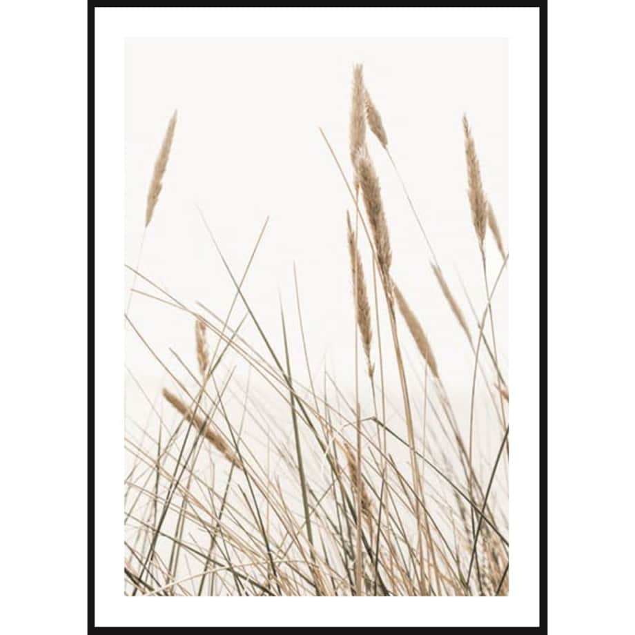 Poster Story, Plakat, Obraz - Kołyszące Trzciny, wymiary 70 x 100 cm