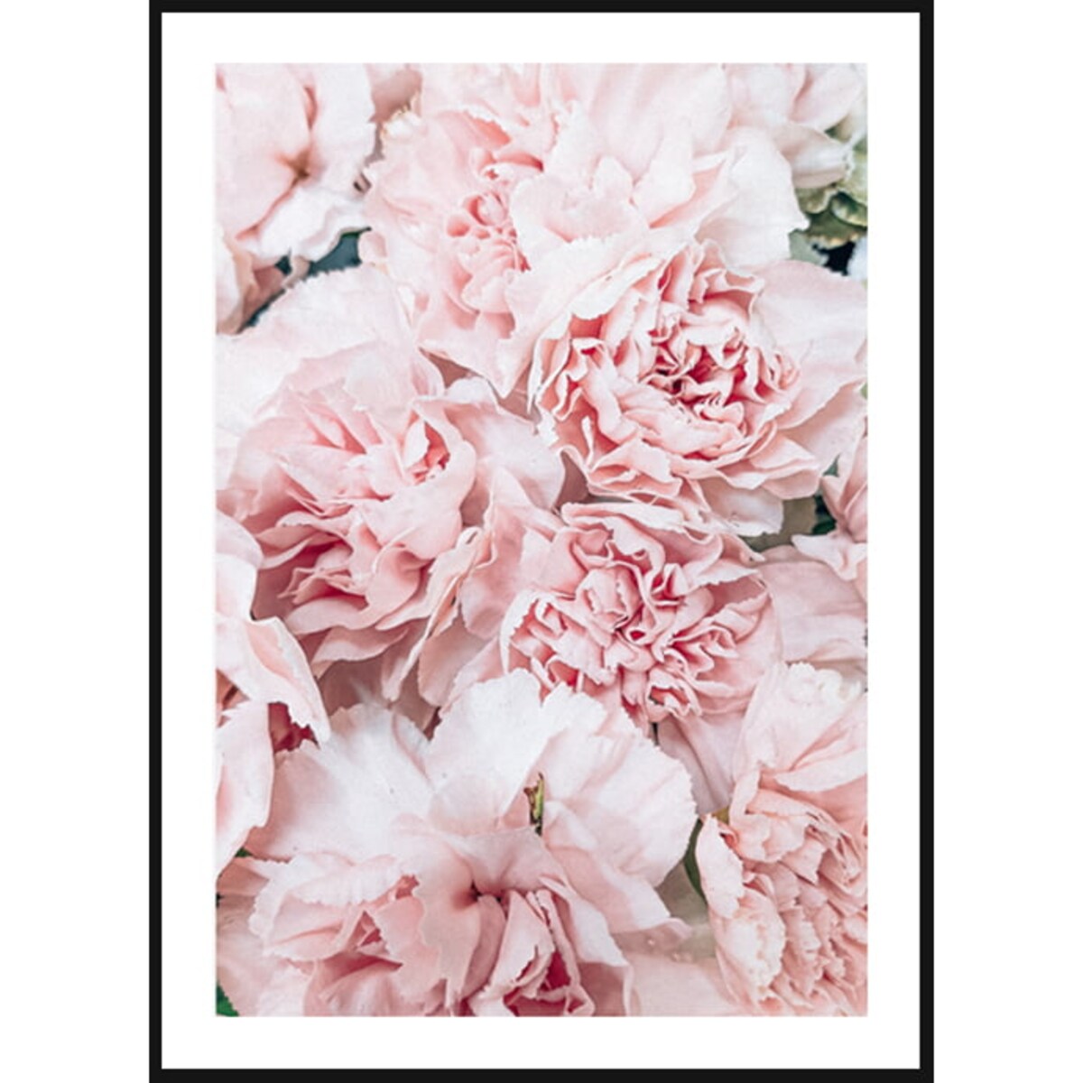 Poster Story, Plakat, Obraz - Pudrowe Piwonie, wymiary 30 x 42 cm
