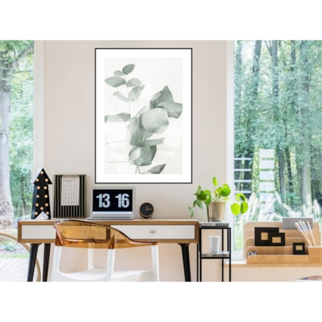 Poster Story, Plakat, Obraz - Eukaliptus No2, wymiary 60 x 84 cm
