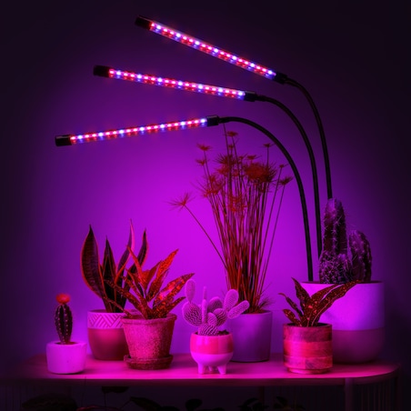 Lampa Led Do Wzrostu Roślin 60 Diod Timer 24 W Uprawa Roślin Do Domu Bez Zasilacza Sieciowego