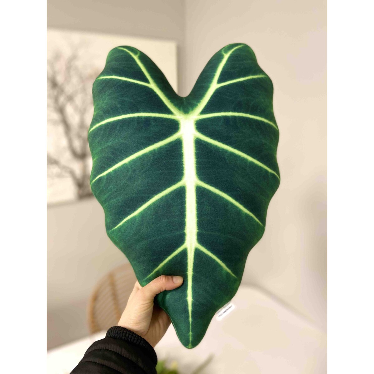 Poduszka liść Alokazja micholitziana Frydek