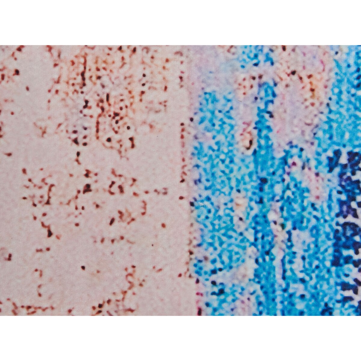 Dywan 160 x 230 cm niebieski INEGOL