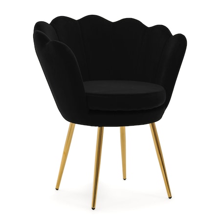 Czarne krzesło welurowe muszla na złotych nogach do toaletki jadalni salonu