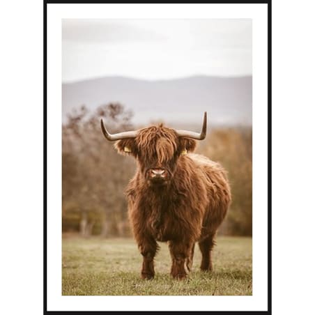 Poster Story, Plakat, Obraz - Las Świerkowy z Lotu Ptaka, wymiary 30 x 42 cm