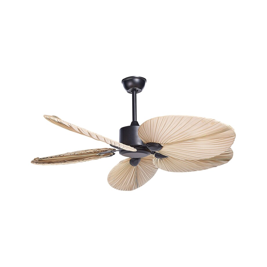 Wentylator sufitowy czarny z naturalnym MAMMOTH