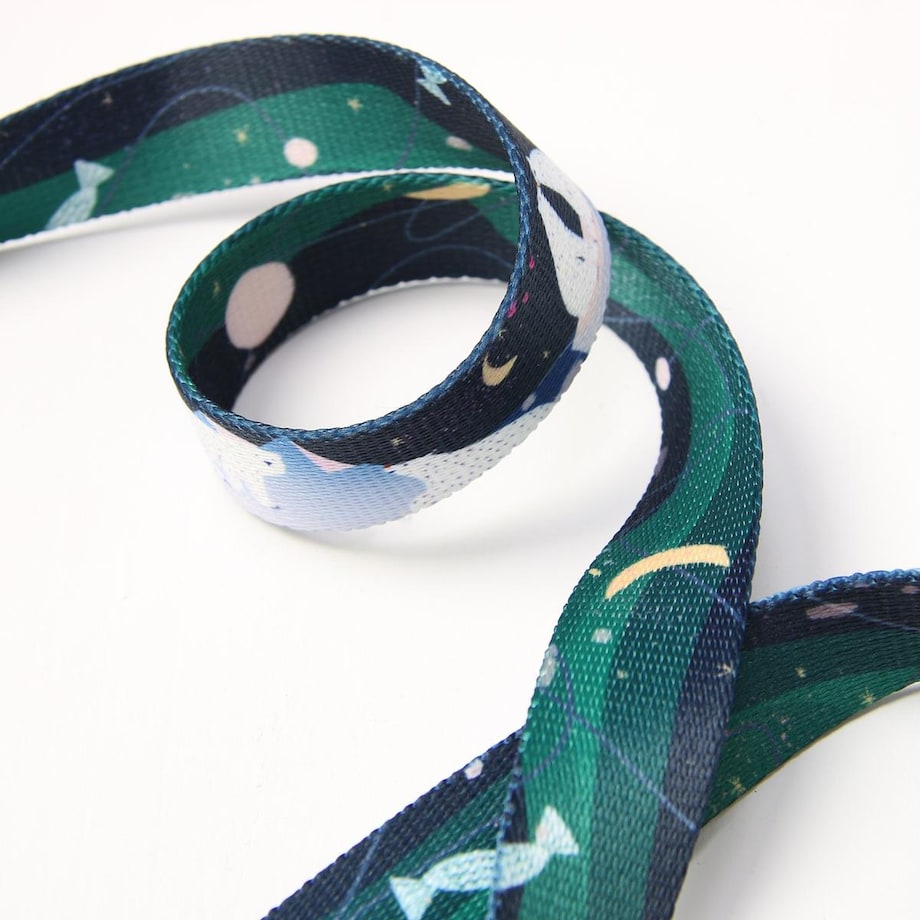 Smycz przepinana z amortyzatorem dla psa lub kota "Miś Polargol" - Szerokość taśmy: 25mm, Rozmiar: L oraz Rodzaj: Duży karabinek