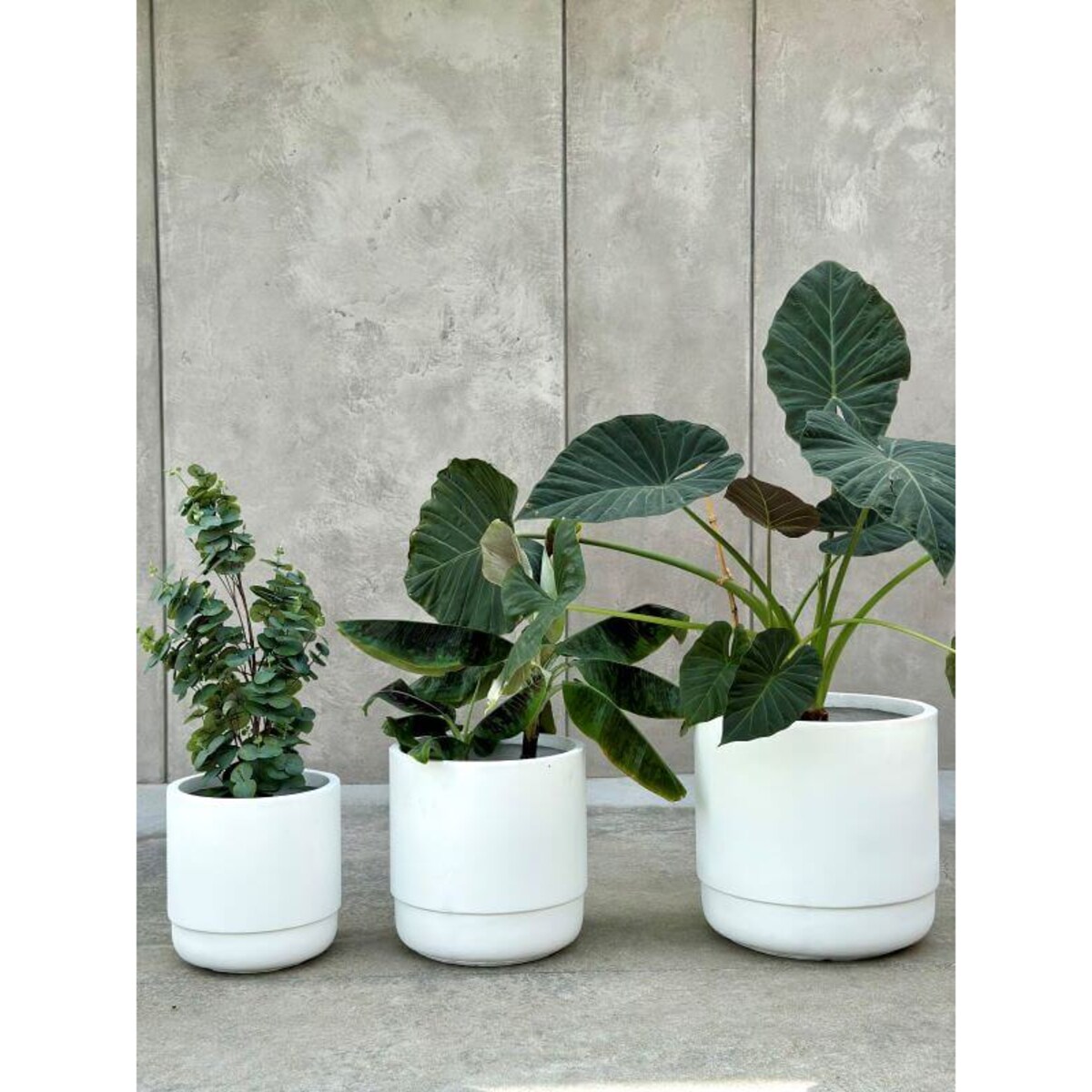 ZESTAW DONICZEK SANTIAGO WHITE SET