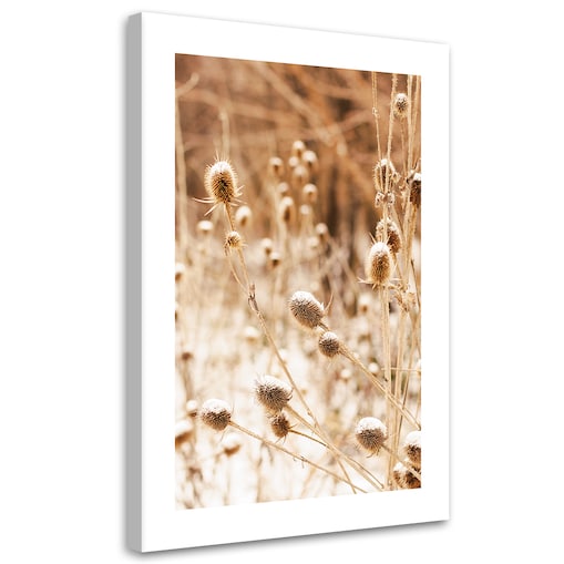 Obraz na płótnie, Wysuszona łąka
