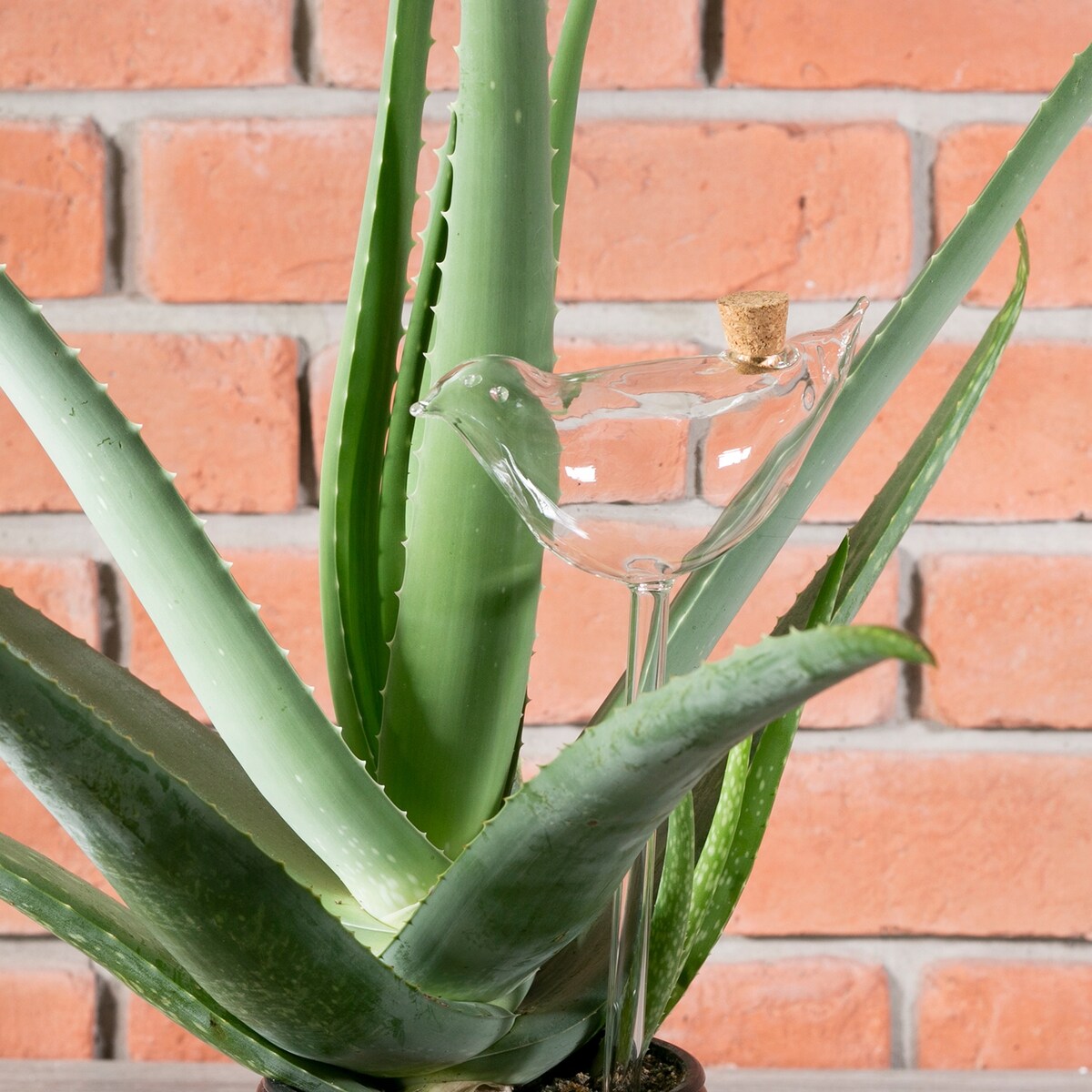 KULA nawadniająca NAWADNIACZ do roślin i kwiatów doniczek PTAK 140ml