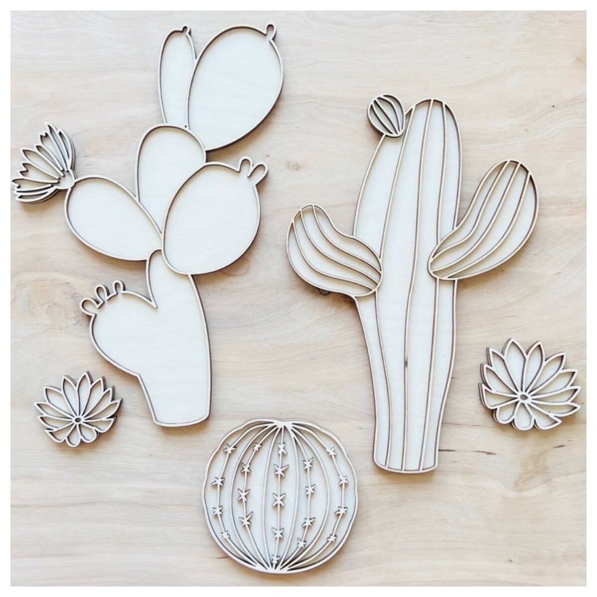 Zestaw kreatywny KAKTUSY
