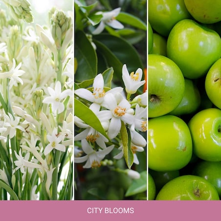 HI świeca średnia CITY BLOOMS