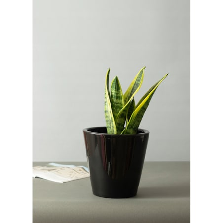 DONICA SOFIA ceramiczna czarny połysk śr. 19cm