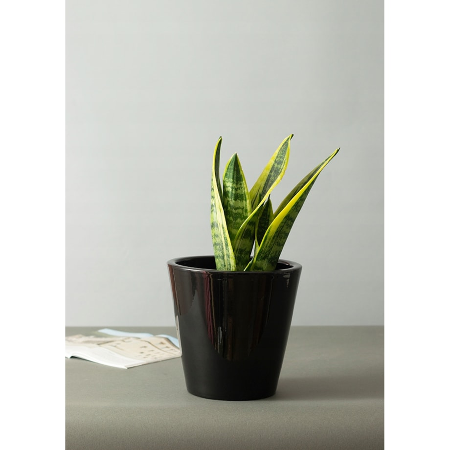 DONICA SOFIA ceramiczna czarny połysk śr. 19cm