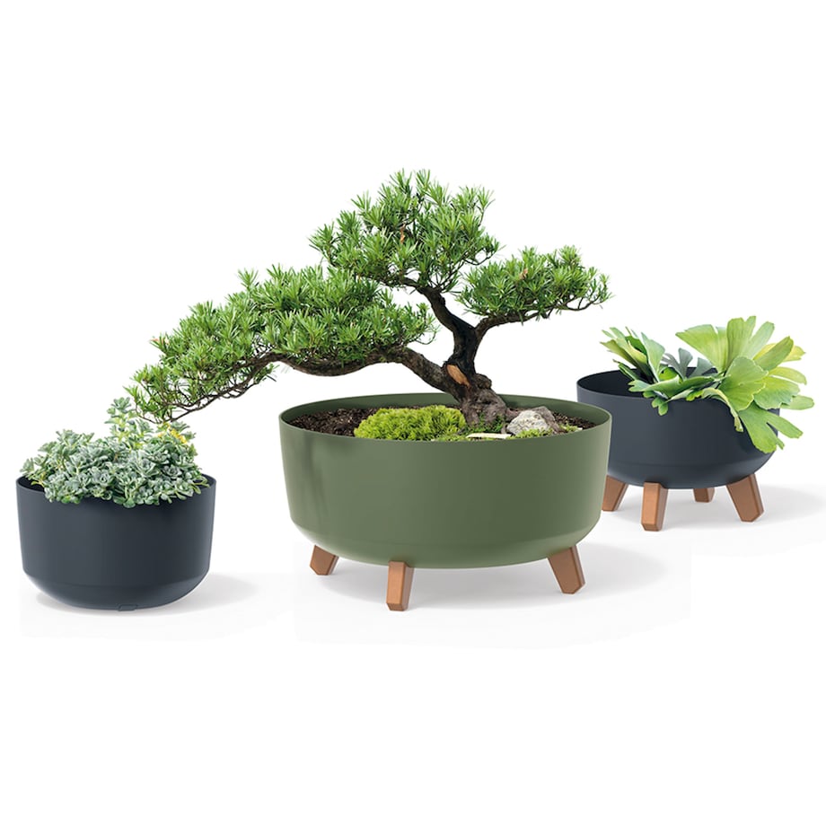 Donica Misa Na Nóżkach Doniczka 23,5 Cm Gracia Low