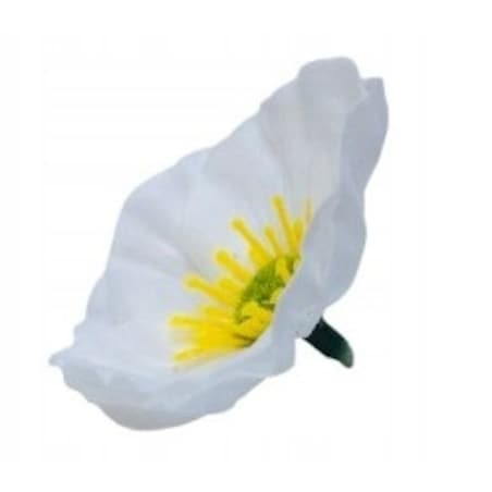 KWIATY MYDLANE biały okrągły główka do stroika bukietu box prezent upominek