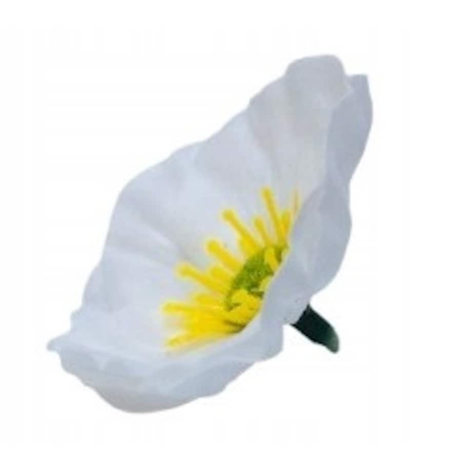 KWIATY MYDLANE biały okrągły główka do stroika bukietu box prezent upominek