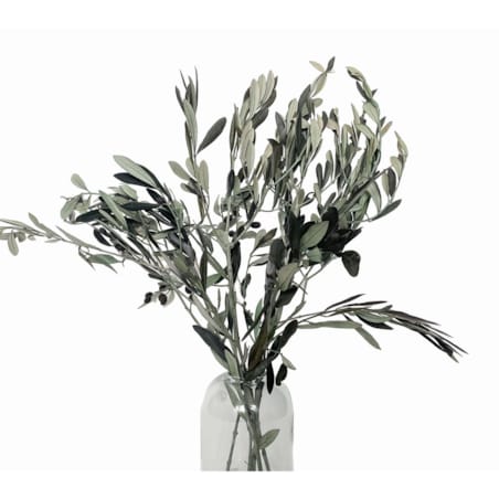 Stabilizowane Gałązki Oliwne