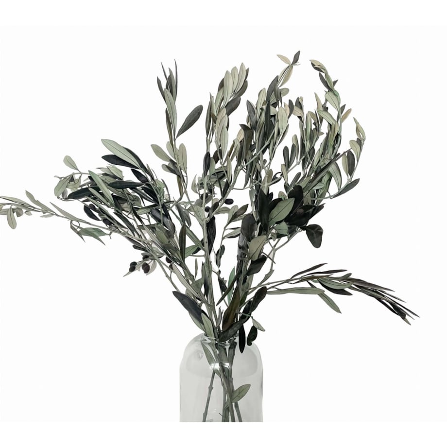 Stabilizowane Gałązki Oliwne