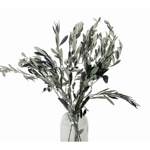 Stabilizowane Gałązki Oliwne