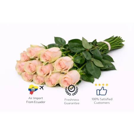 Bukiet róż Pink Mondial FR – 25 sztuk, wysokość 40-45 cm (Ekwador)