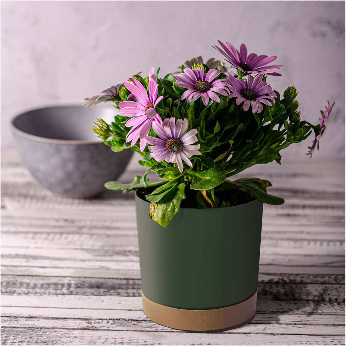 Doniczka Ogrodowa 14,8Cm Z Podstawką Do Domu Donica Plastikowa Gładka Zielona