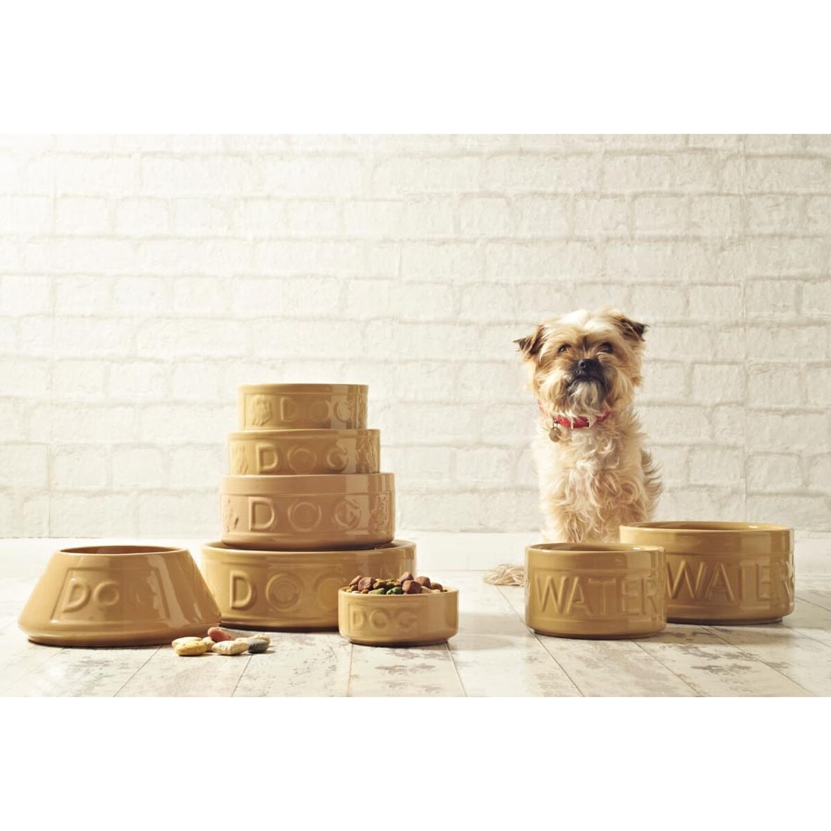 Miska na wodę dla psa, 15 cm, Mason Cash