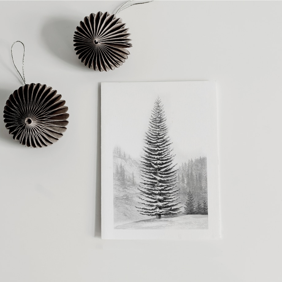 Zestaw Plakatów Zimowy Las 21x30cm