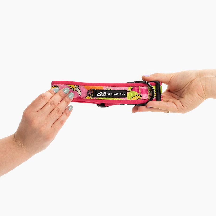 Obroża z klamrą SUPER SOFT "Owoc falliczny 2.0" - Szerokość taśmy: 38mm, Rozmiar: M