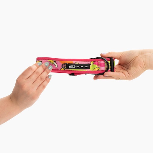 Obroża z klamrą SUPER SOFT "Owoc falliczny 2.0" - Szerokość taśmy: 38mm, Rozmiar: M