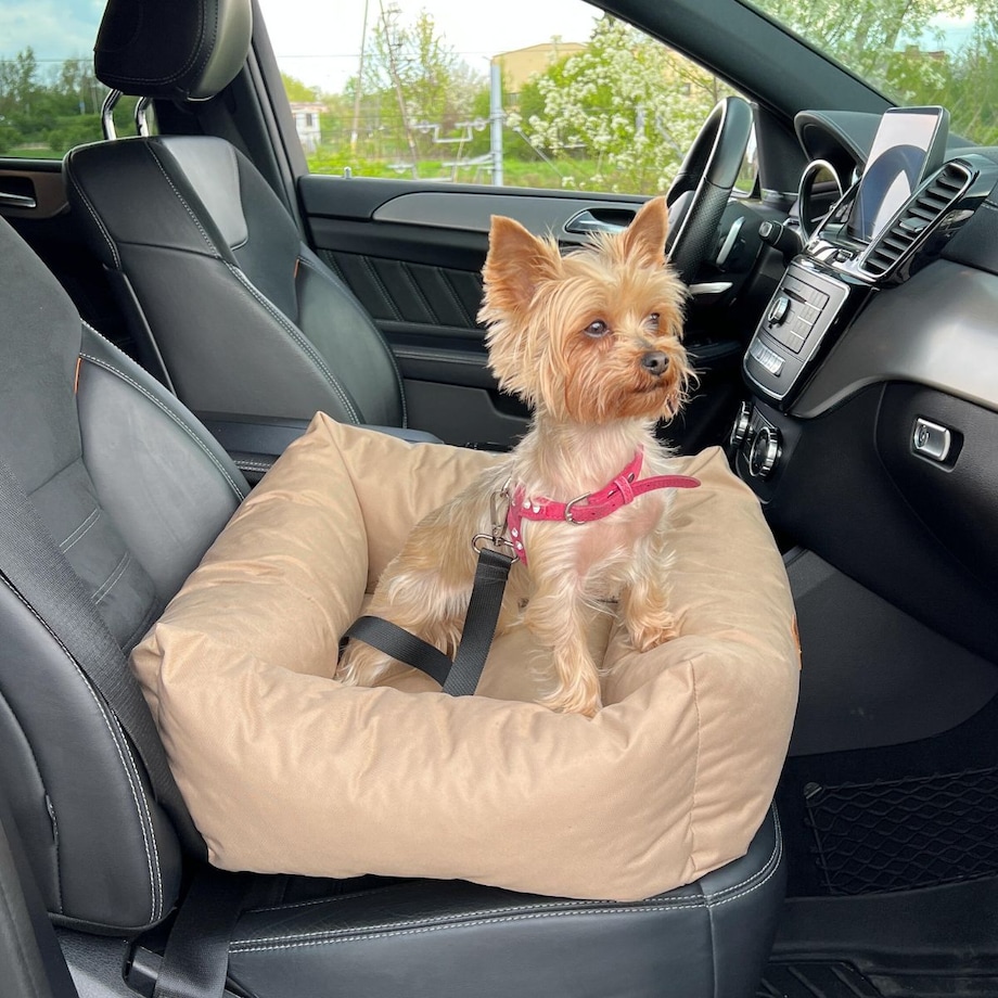 Animood Fotelik samochodowy Julian rozmiar: uniwersalny, kolor: cappucino, materiał: kodura