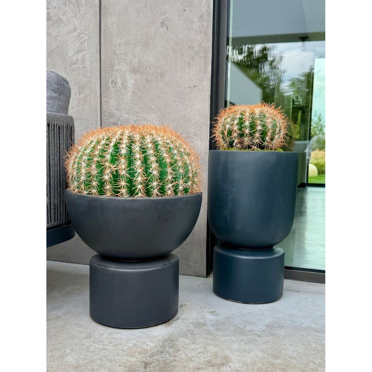 KAKTUS KULISTY 25 CM