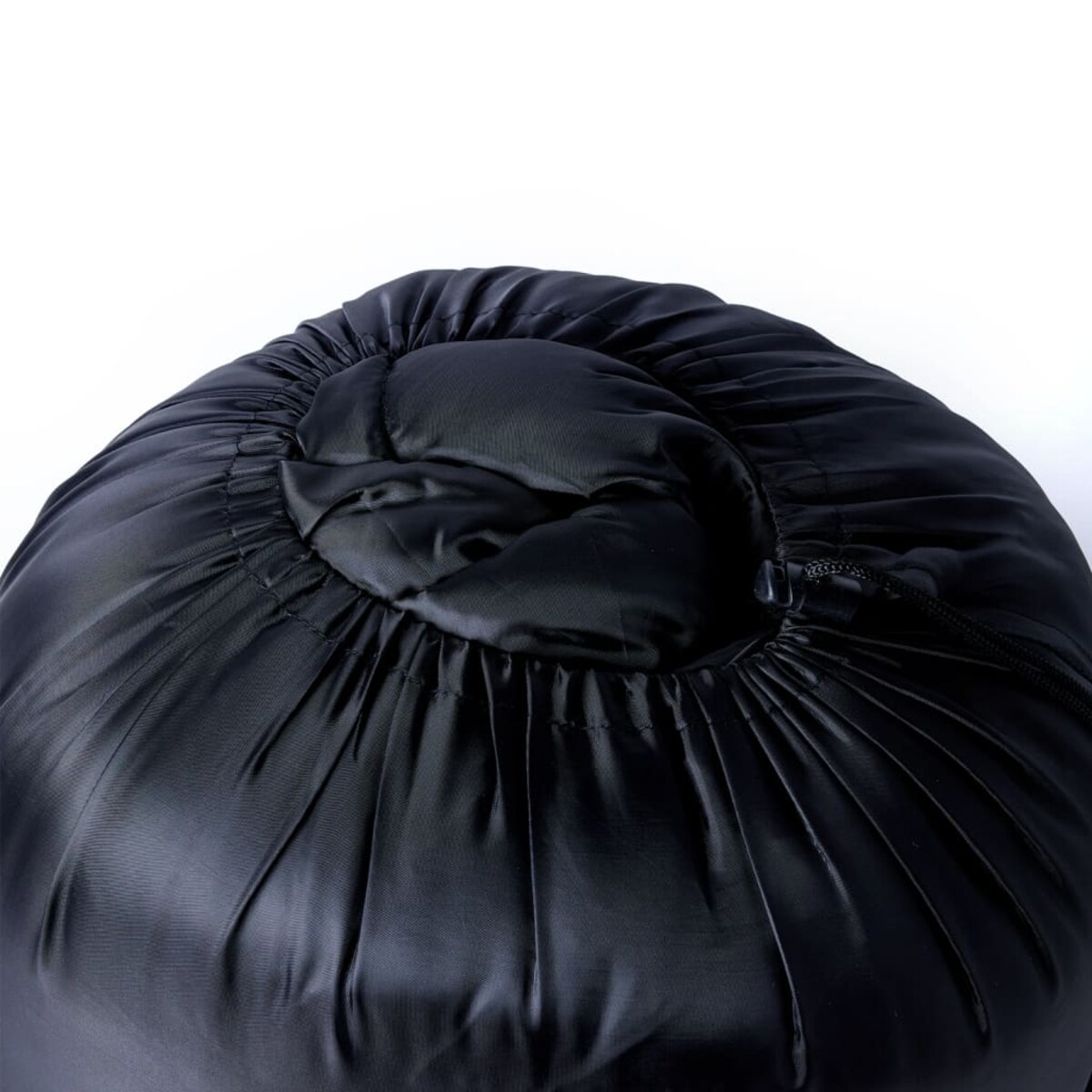 vidaXL Śpiwór dwuosobowy dla dorosłych, z poduszkami, 3-4 pory roku