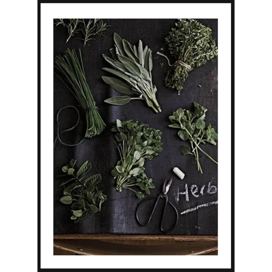 Poster Story, Plakat, Obraz - Świeże Zioła No2, wymiary 30 x 42 cm