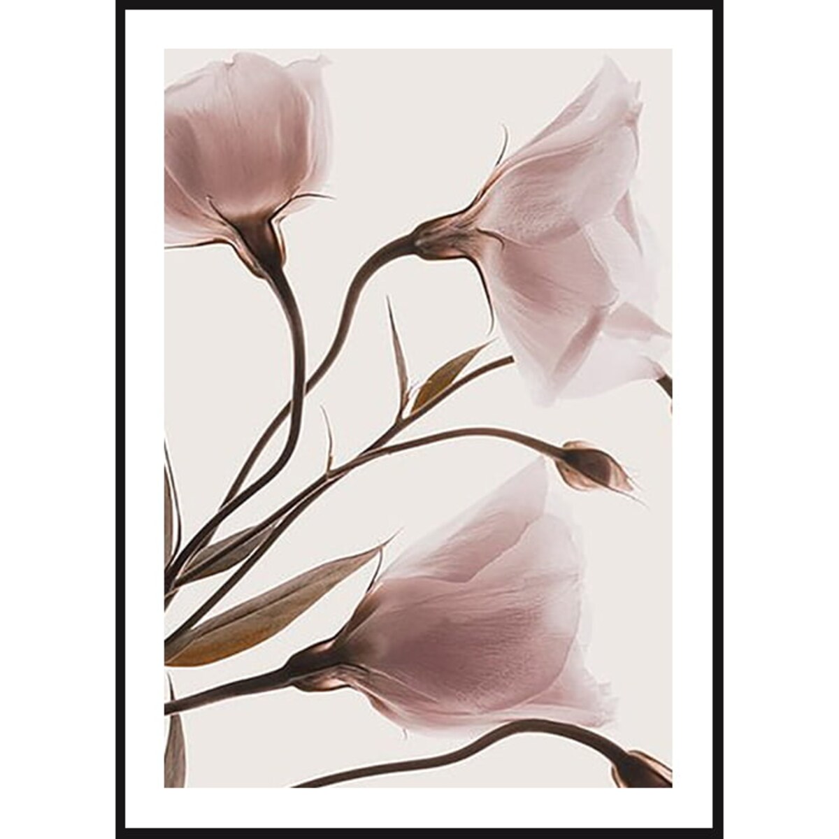Poster Story, Plakat, Obraz - Różowe Pastelowe Kwiaty No1, wymiary 70 x 100 cm