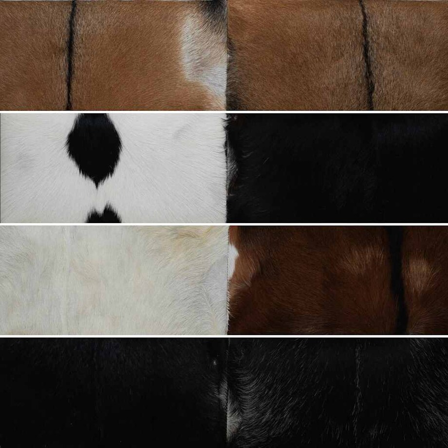 vidaXL Ławka z koziej skóry tekowej