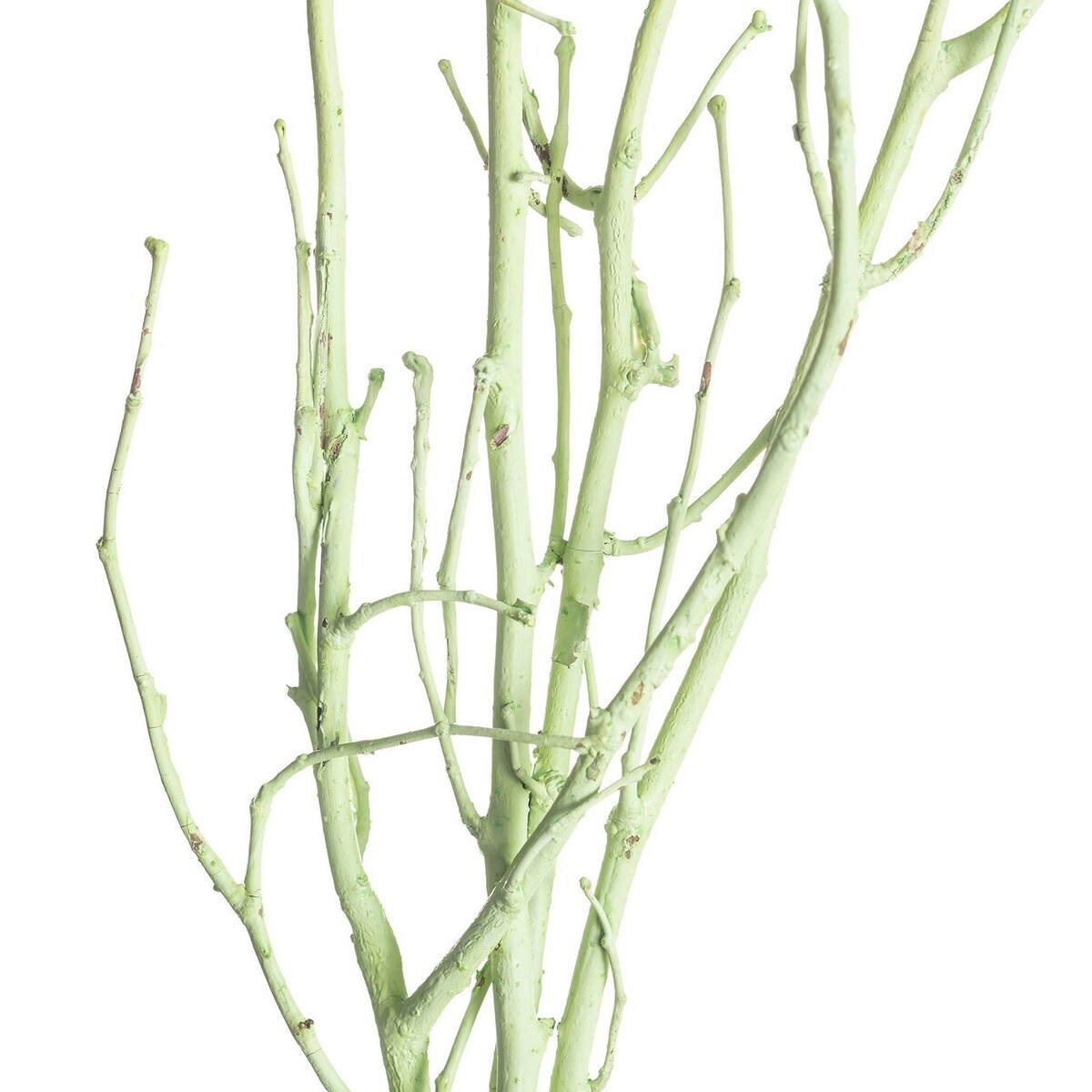 Gałązka Leszczyny 50cm light green, 10 x 10 x 50 cm