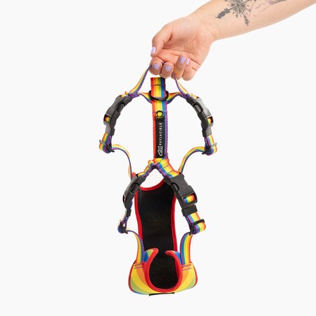 Szelki bezuciskowe Stay on "Miłość, równość, gryzaki" - Szerokość taśmy: 38mm, Rozmiar: L