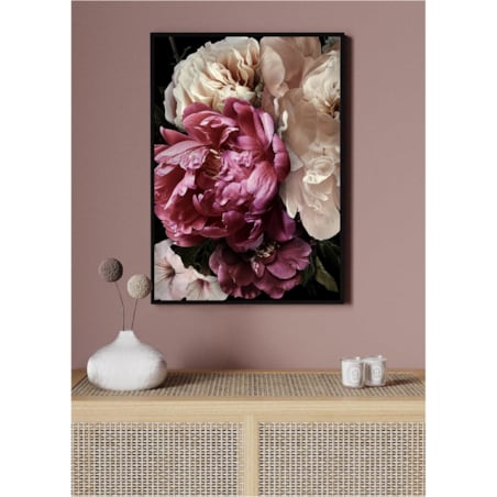 Poster Story, Plakat, Obraz - Rubinowa i Biała Piwonia No1, wymiary 70 x 100 cm