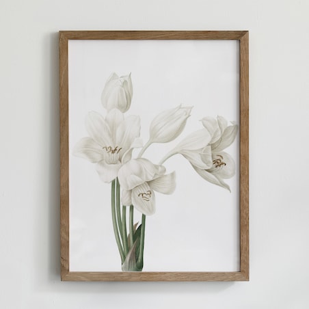 Zestaw 6 Ilustracji 21x30cm