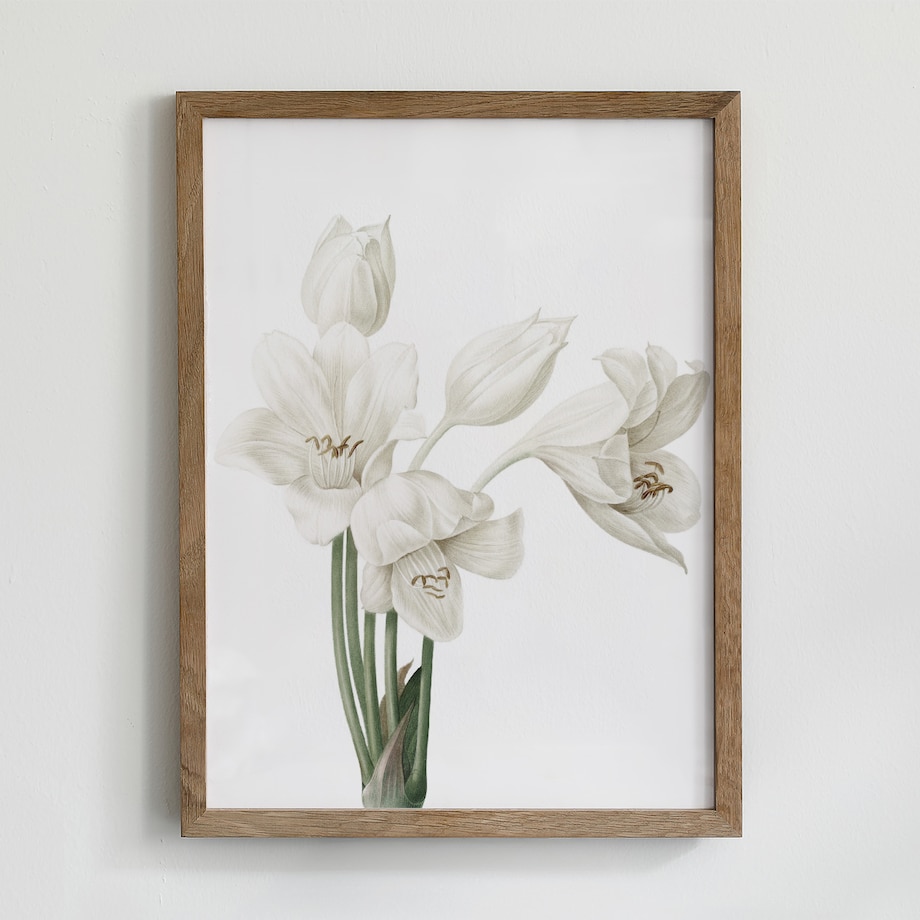 Zestaw 6 Ilustracji 21x30cm