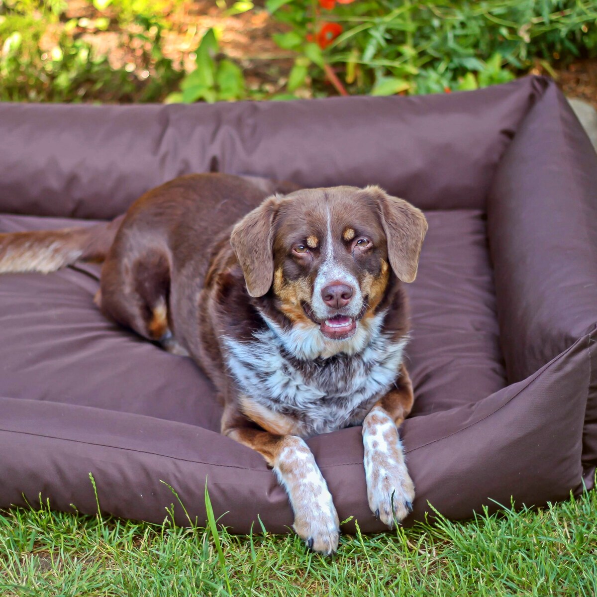Wodoodporne legowisko dla psa KOKO, 80x60 cm, Brąz