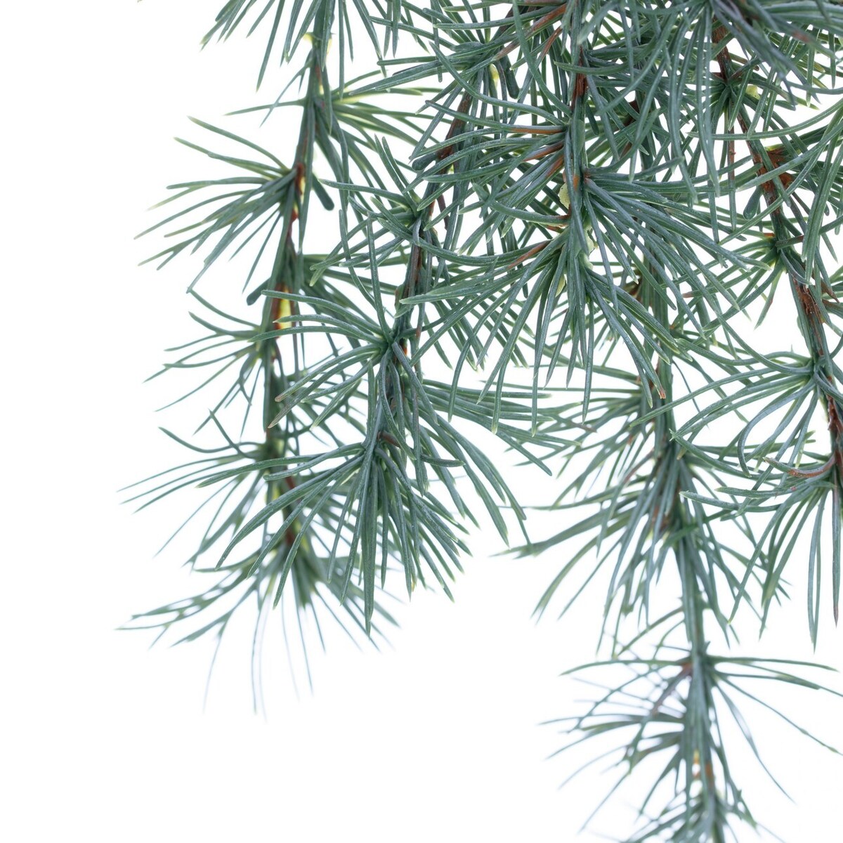 Gałązka Christmas Tree 30x2x60cm light green boże narodzenie, święta, świąteczne, zielony, 30 x 2 x 60 cm