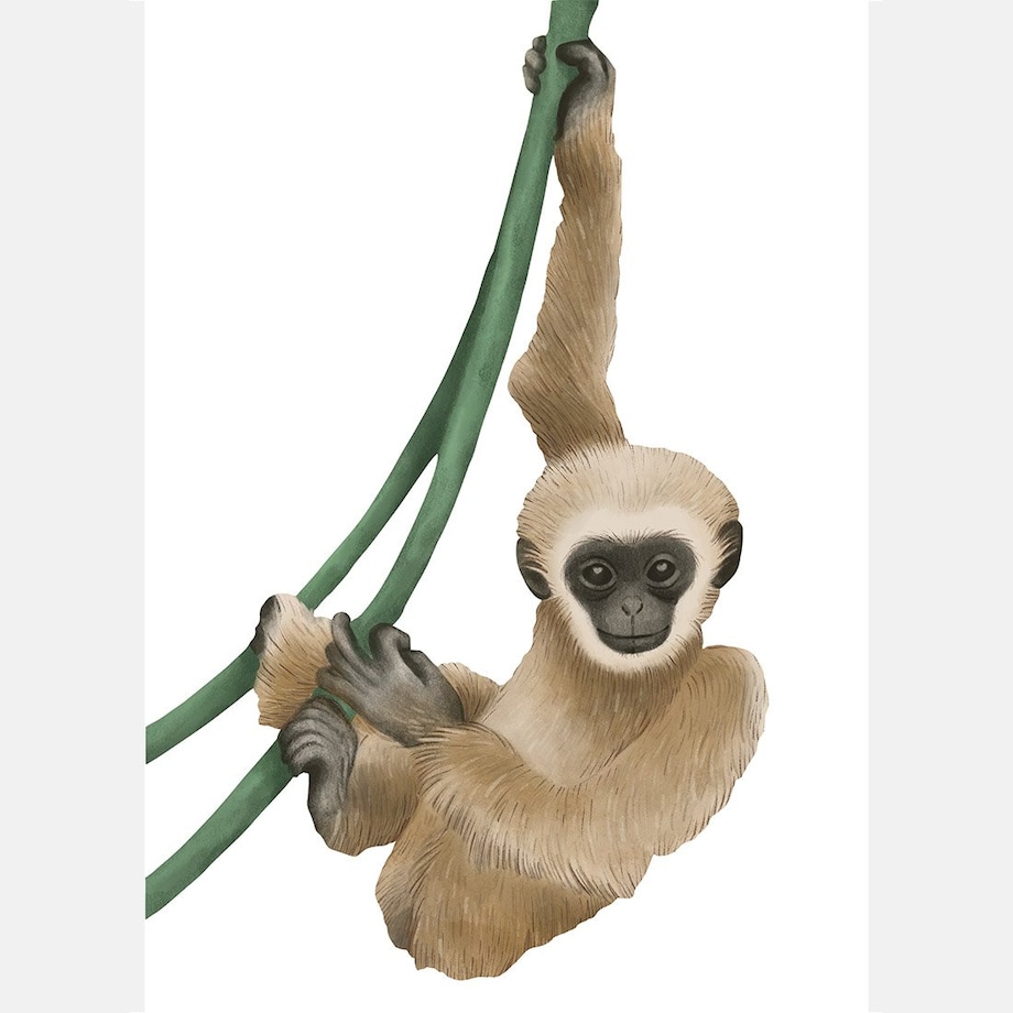 Plakat dla dzieci Małpka 30x40