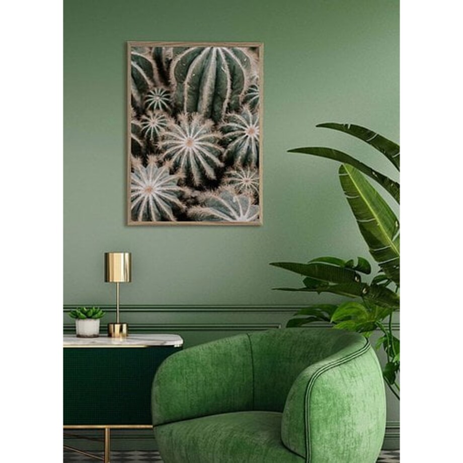 Poster Story, Plakat, Obraz - Rodzina Kaktusów, wymiary 42 x 60 cm