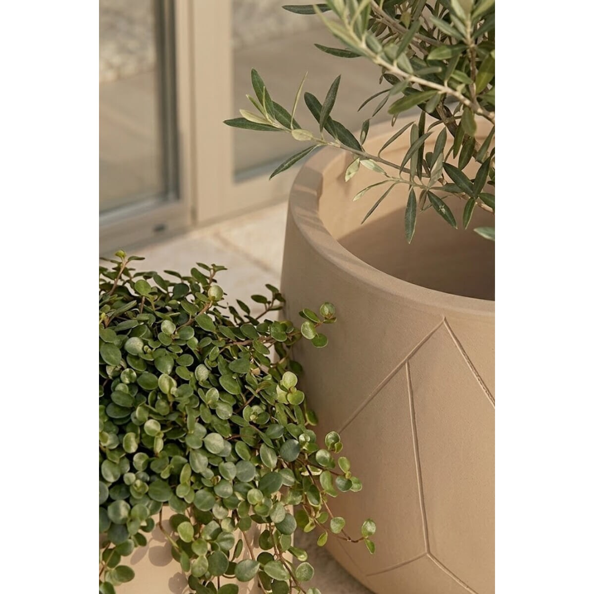 DONICZKA ODELLE BEIGE M