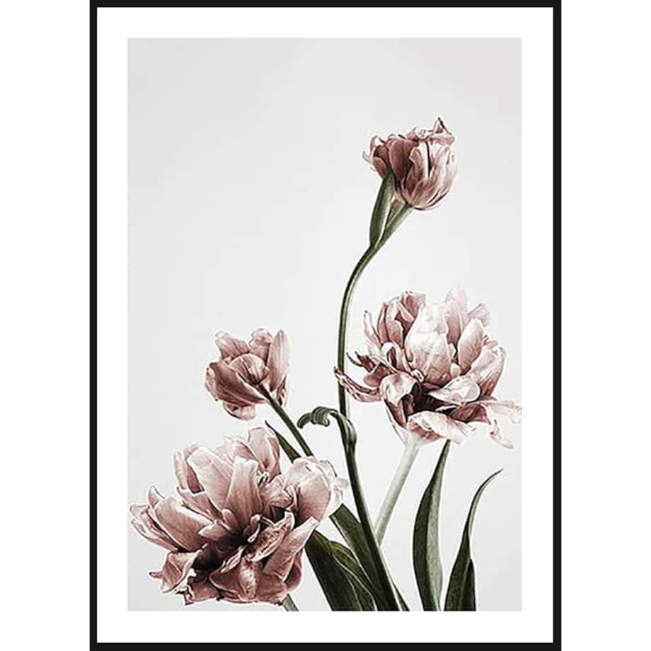 Poster Story, Plakat, Obraz - Różowe Tulipany No2, wymiary 21 x 30 cm