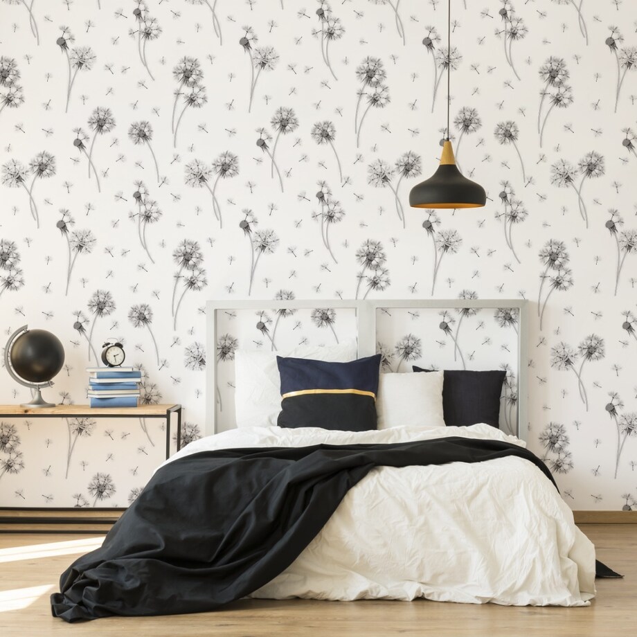 Tapeta Czarno-Białe DMUCHAWCE Natura